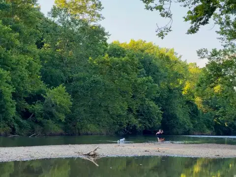 River bliss with my best furry friends.